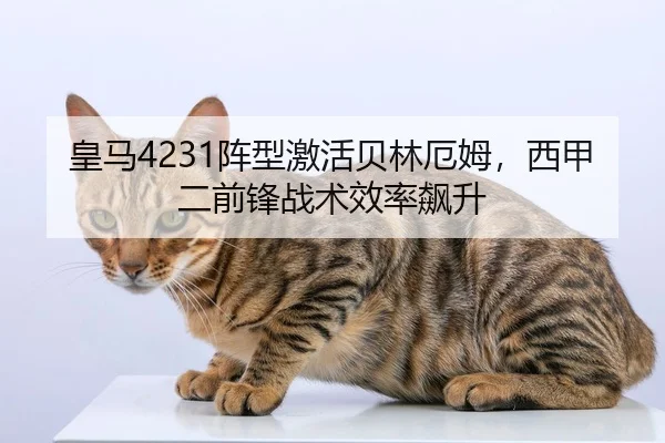 皇马4231阵型激活贝林厄姆，西甲二前锋战术效率飙升