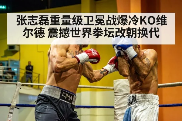 张志磊重量级卫冕战爆冷KO维尔德 震撼世界拳坛改朝换代