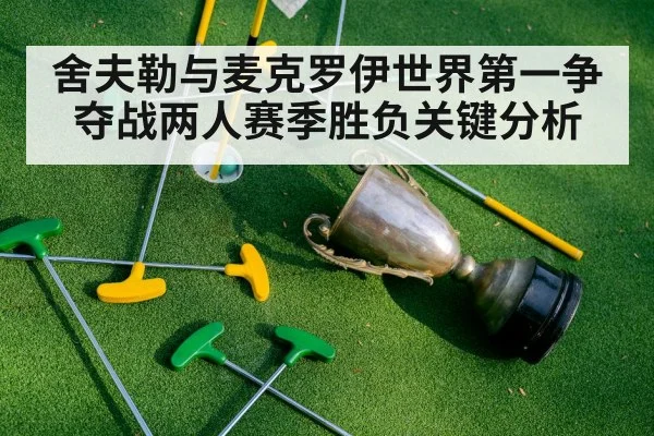 舍夫勒与麦克罗伊世界第一争夺战两人赛季胜负关键分析