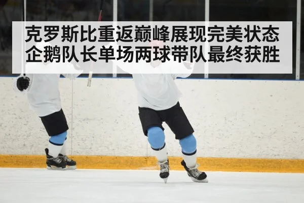 克罗斯比重返巅峰展现完美状态 企鹅队长单场两球带队最终获胜