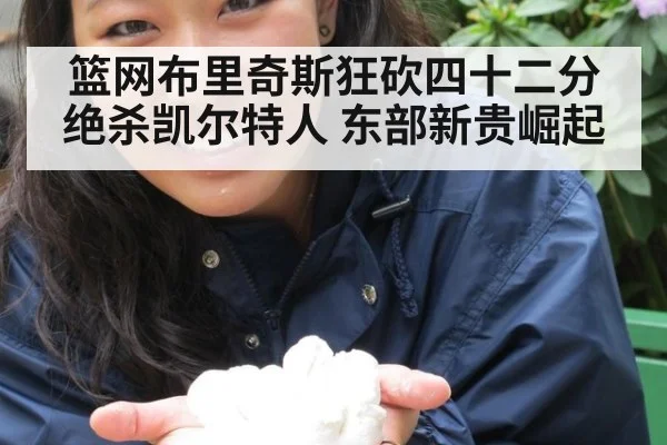 篮网布里奇斯狂砍四十二分绝杀凯尔特人 东部新贵崛起